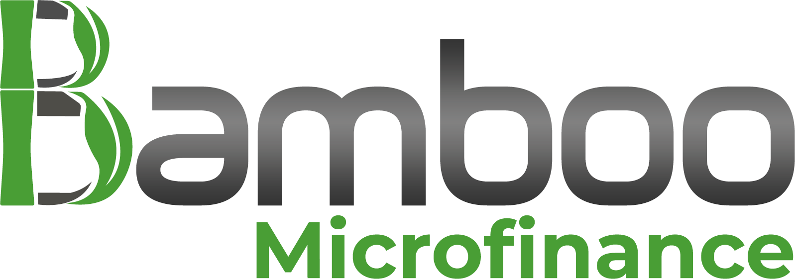 Bamboo Microfinance